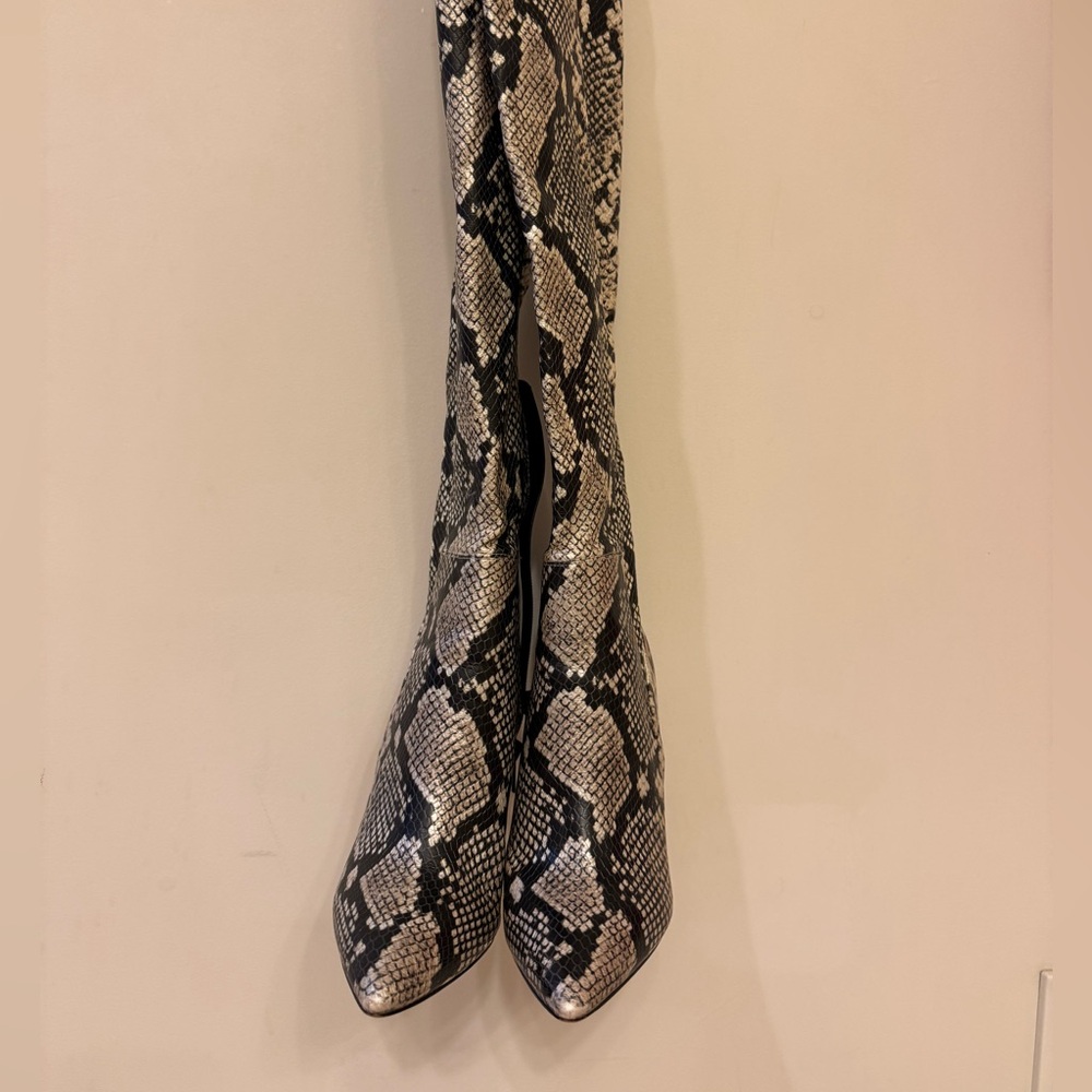 Naturalistic Black and Gray Reptile Habitat Decor